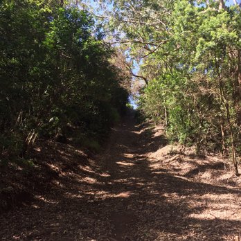 Kealia Trail - Steep arse hills that go on forever - Hiking Near Me