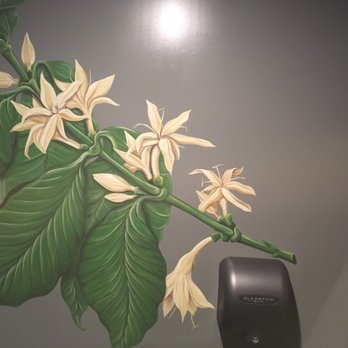 Brioso Coffee - Coffee & Tea Near Me - Columbus, Ohio