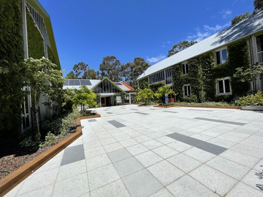 Cloudy Bay Vineyards by null