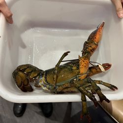 Ming Yan Seafood Restaurant