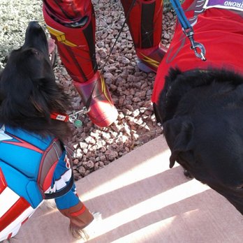 Vegas Strong 5K - Puppies participated - Races & Competitions Near Me - North Las Vegas, Nevada