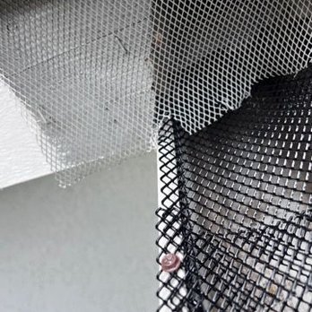 Window Cleaning Ace - Pressure Washers Near Me