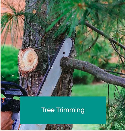 K&R Tree Service - tree service in Oklahoma City, OK