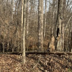 Cedarock Park