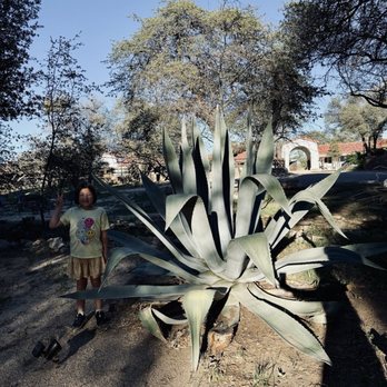 El Rancho Robles - Venues & Event Spaces Near Me - Oracle, Arizona