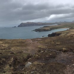 Saoirse Tours