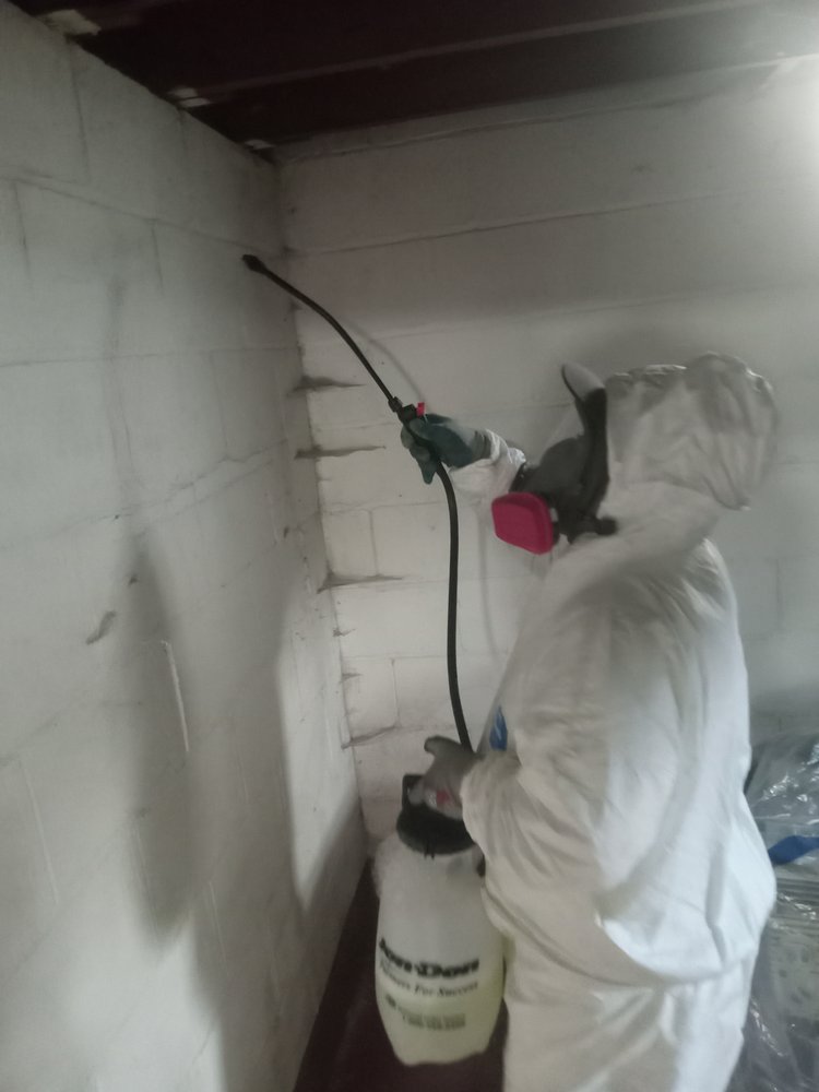 AJ Development Group - mold inspector in Milwaukee, WI