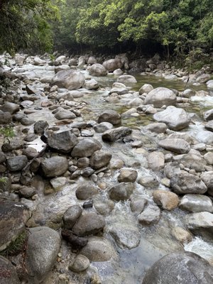 Mossman Gorge by null