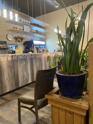 Chili Thai Downtown Tacoma by null