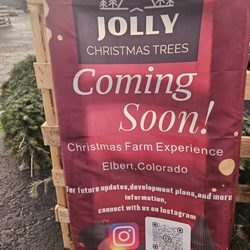 jolly christmas trees - Jolly christmas trees!