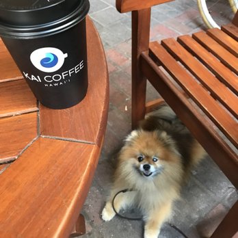 Kai Coffee - Pet Friendly 09/05/2018 - Coffee & Tea Near Me - Honolulu, Hawaii