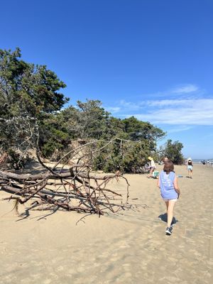 Popham Beach State Park by null