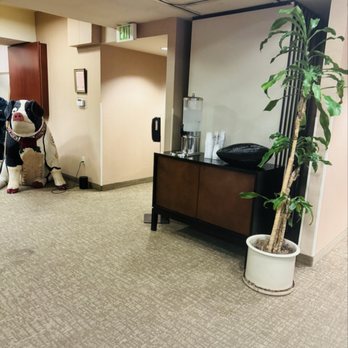 Silver Cloud - Hotels Near Me - Seattle, Washington
