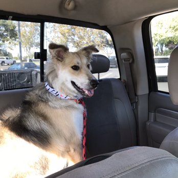 Pet Magic Groom & Board - Pet Groomers Near Me - Manteca, California Pet Magic Groom & Board - Pet Groomers Near Me - Manteca, California