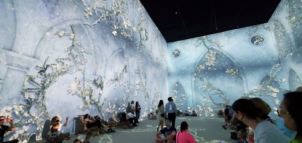 Van Gogh: The Immersive Experience by null