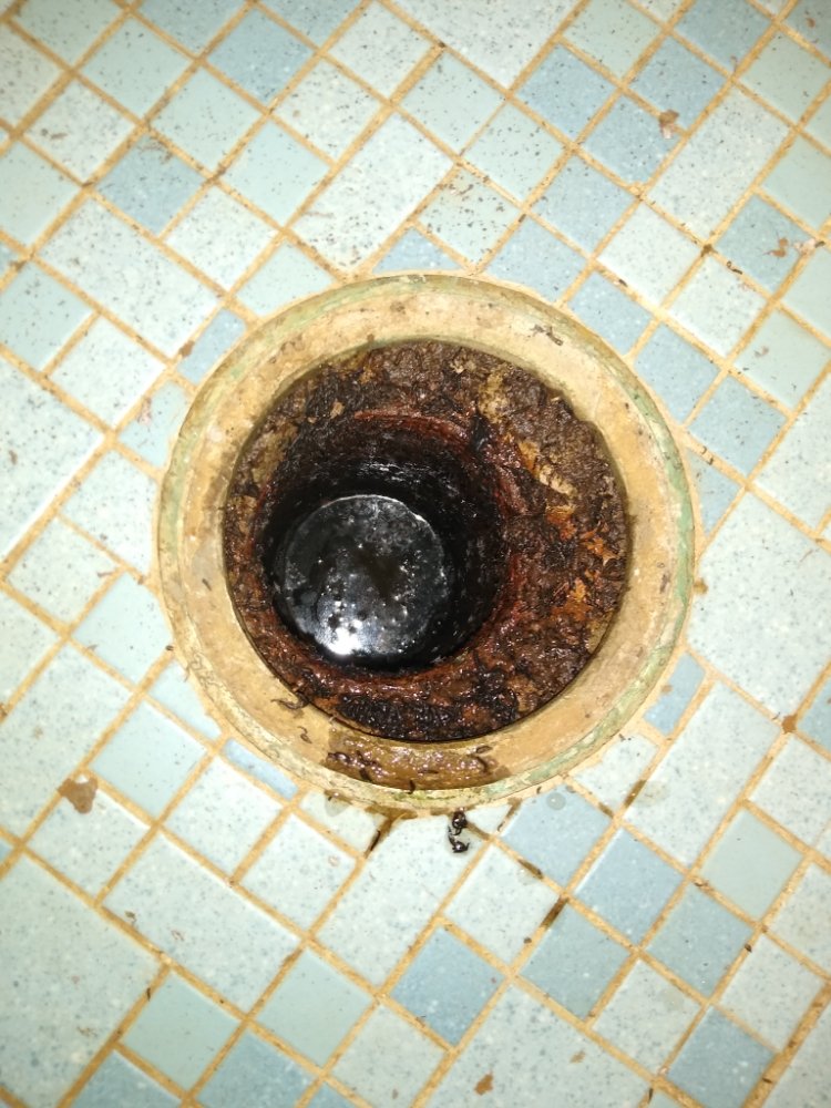 Slide of Tri-City Rooter