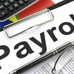NN Tax and Live Scan Services