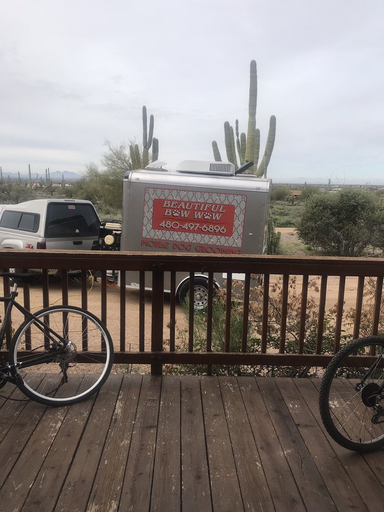 BEAUTIFUL BOW WOW MOBILE DOG GROOMING 100 Photos Apache Junction