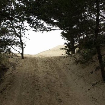 Woahink Lake Rv Resort - Direct access to dunes - Campgrounds Near Me - Florence, Oregon Woahink Lake Rv Resort - Direct access to dunes - Campgrounds Near Me - Florence, Oregon