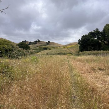 Newell Open Space Preserve - Hiking Near Me - American Canyon, California Newell Open Space Preserve - Hiking Near Me - American Canyon, California