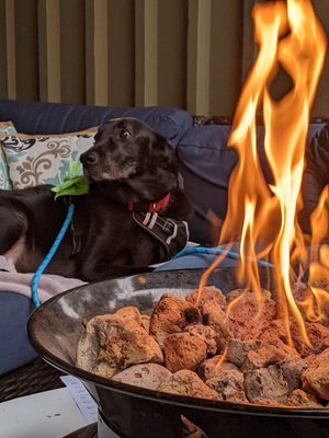 Fletcher Bay Winery by null