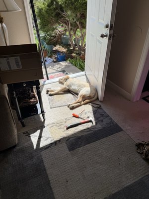 Columbine Handyman And Remodeling