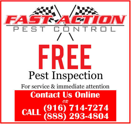 Fast Action on Yelp