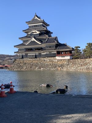 Matsumoto Castle by null