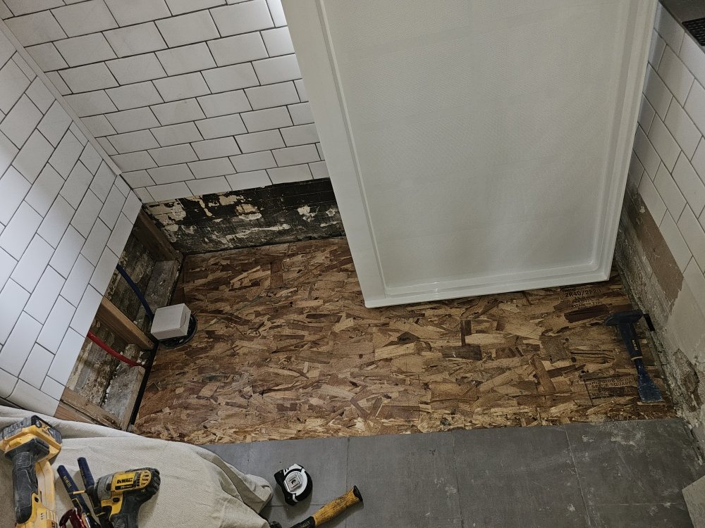 Slide of Alpha Menders