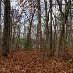 West Thompson Lake Federal Park - Trail