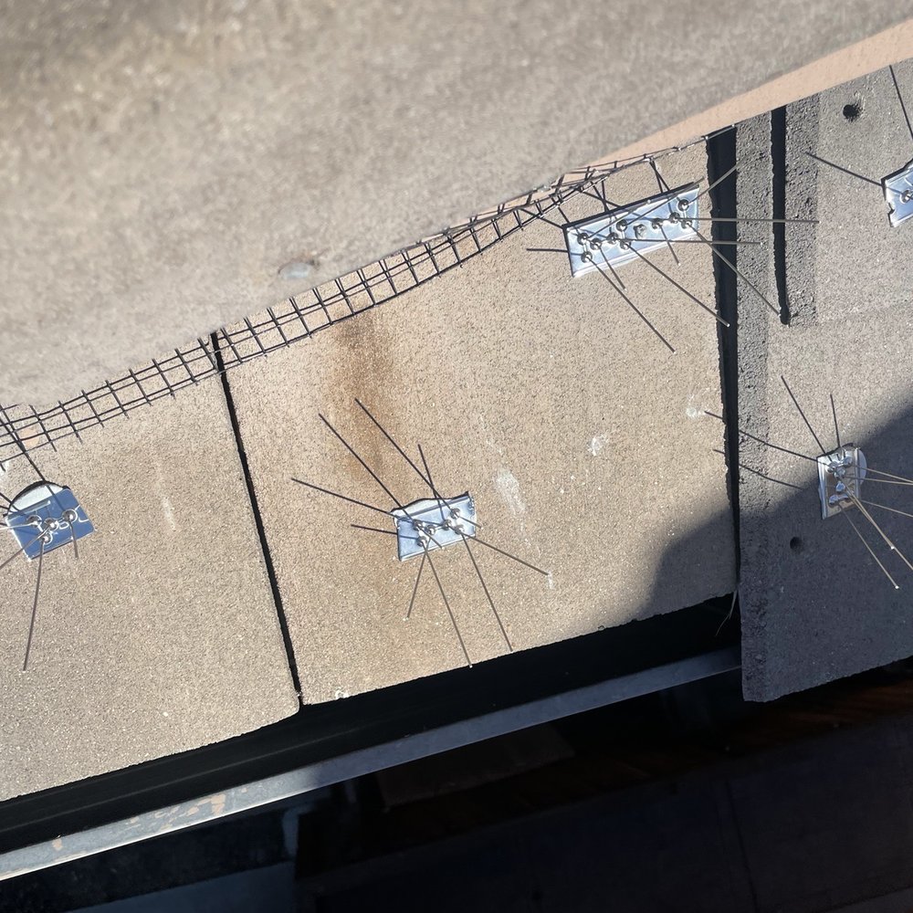 Lukas Pigeon Removal & Gutter Cleaning - Gutter Services Near Me Lukas Pigeon Removal & Gutter Cleaning - Gutter Services Near Me
