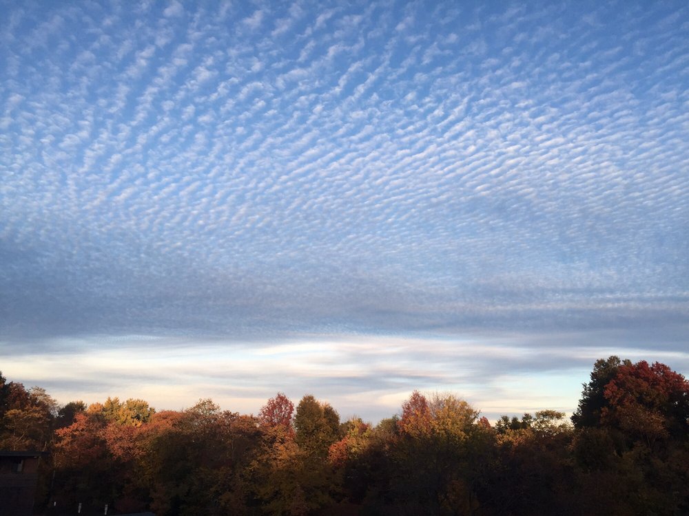 BROOKSIDE CONDOMINIUM ASSOCIATION Updated September 2024 11 Photos