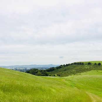 Hulet Hornbeck Trail - Hiking Near Me - Martinez, California