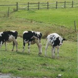 Neighborly Farms