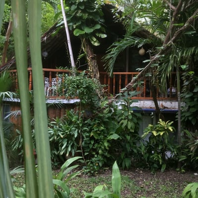 Eco Hotel El Rey Del Caribe by null
