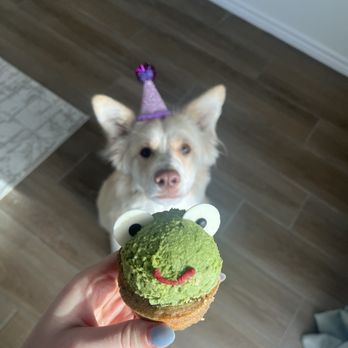 Three Dog Bakery - Pet Stores Near Me - Las Vegas, Nevada Three Dog Bakery - Pet Stores Near Me - Las Vegas, Nevada