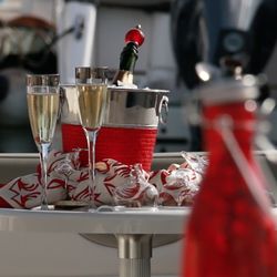 Top Tier Luxury Excursions