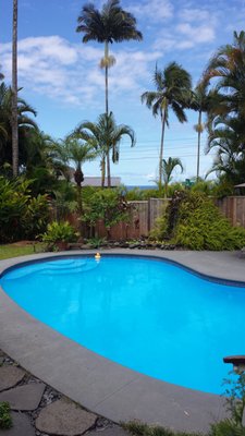 Orchid Tree Bed & Breakfast by null