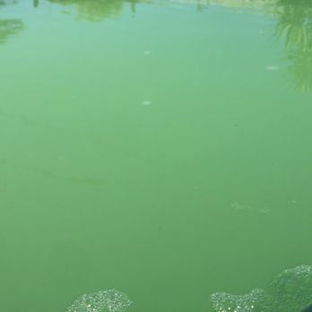 Leslie's Pool Supplies - Hot Tub & Pool Near Me - Burbank, California