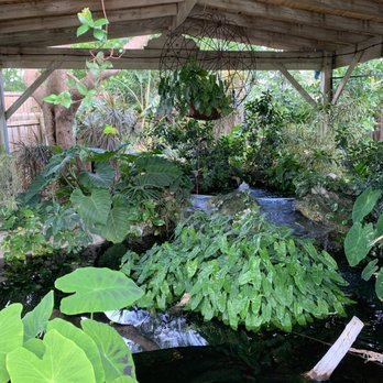 Bad Boy Burrito - A cute little plant covered pond area! - Mexican Near Me - Islamorada, Florida