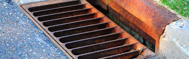 Slide of A Rooter King