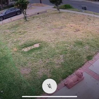 Green Life Turf - Before Green Life turf - Artificial Turf Near Me Green Life Turf - Before Green Life turf - Artificial Turf Near Me