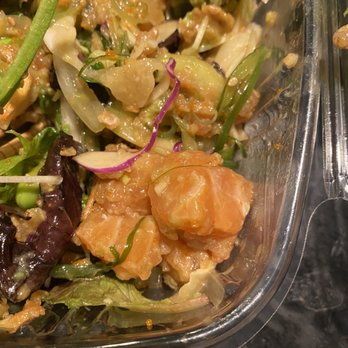 Poki Cat - Pathetic - Salad Near Me - Mission Viejo, California