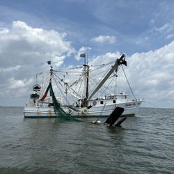 Capt. Derek's Dolphin Adventure On Tybee