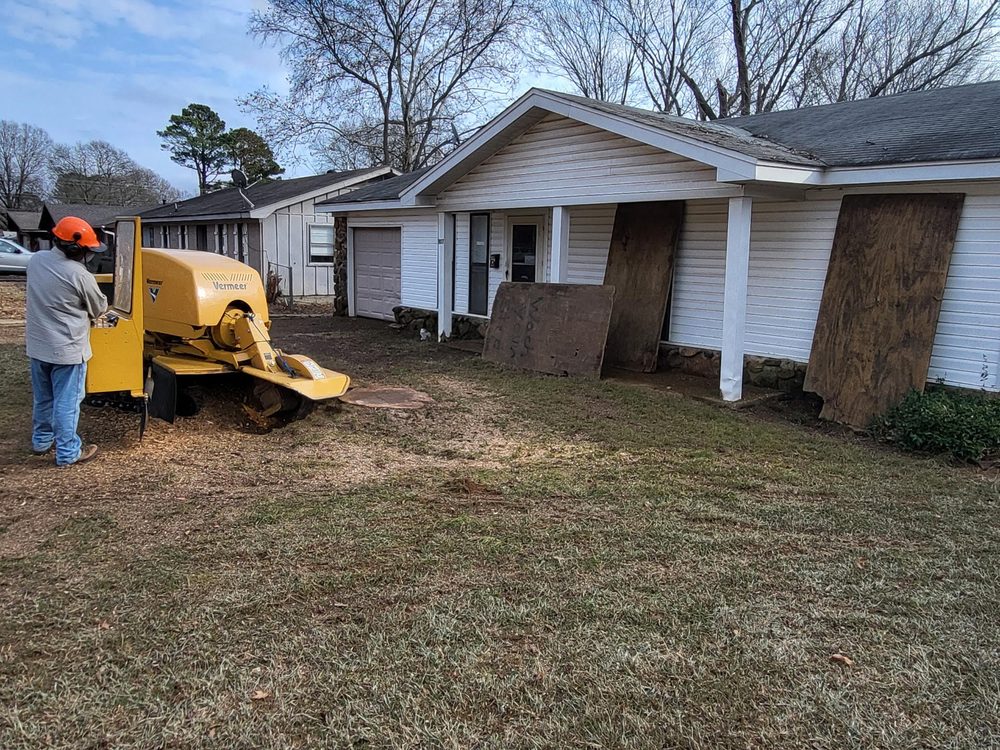Tree Docs - tree service in Little Rock, AR