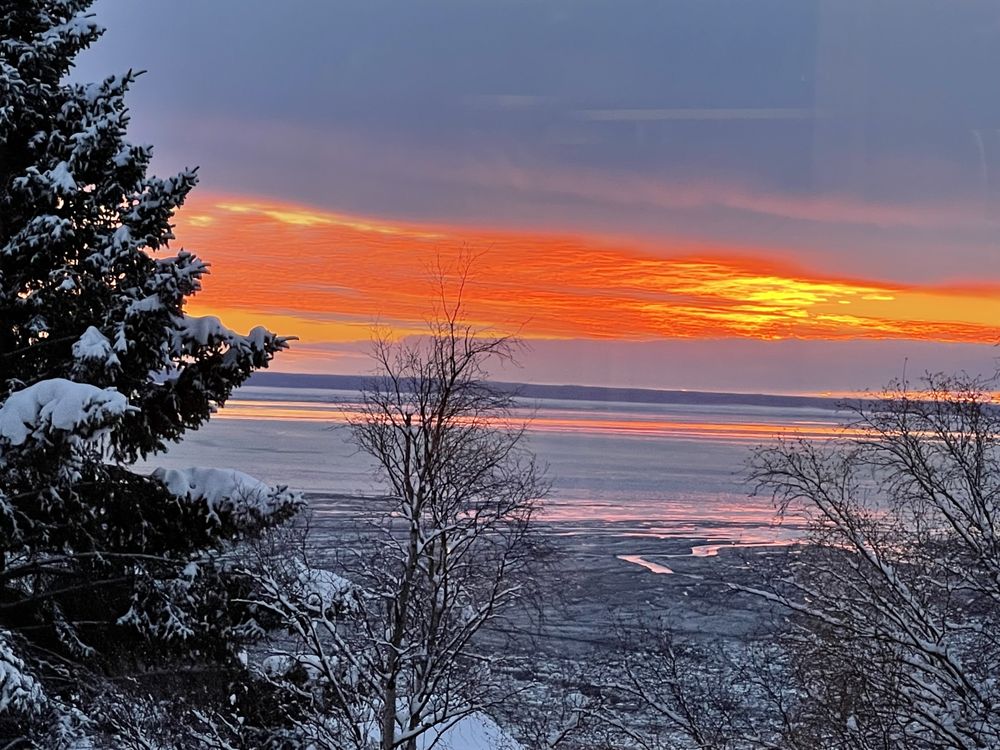 Law Office Of Sara Bloom - divorce attorney in Anchorage, AK