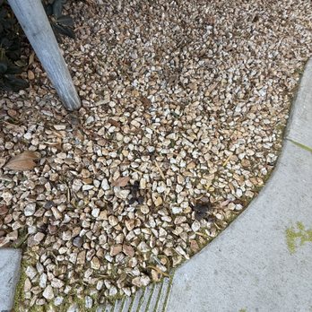 Artisan at Main Street Metro - Feces in rocks - Apartments Near Me - Corona, California Artisan at Main Street Metro - Feces in rocks - Apartments Near Me - Corona, California