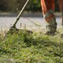 Houston Lawn Care