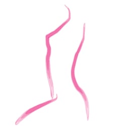 De Silhouette, Inc Logo