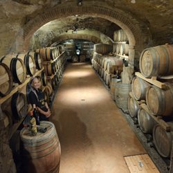 Fattoria Sant'Appiano - Where the wine is aged